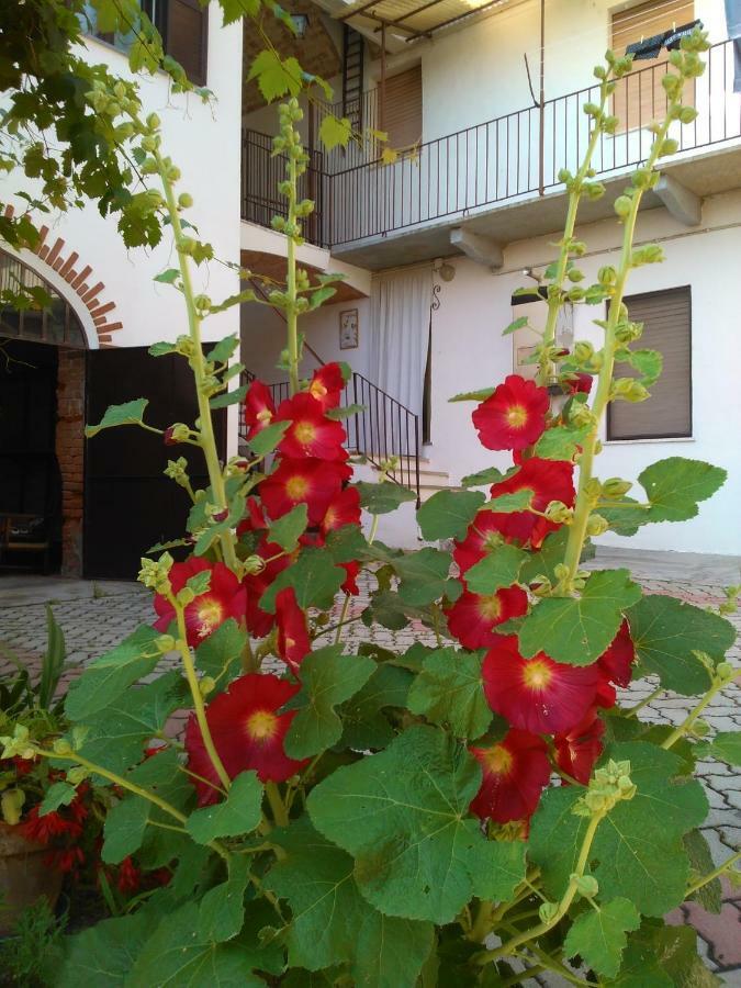 Casa Aromi Ed Arte Pensionat Asti Eksteriør billede